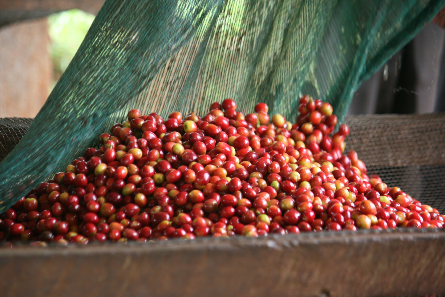 BURUNDI Nemba FIL