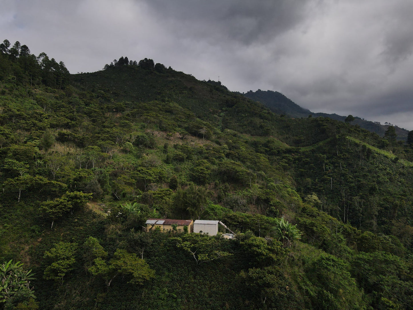 MEXICO SIPRO FIL - WAY Coffee Roasters