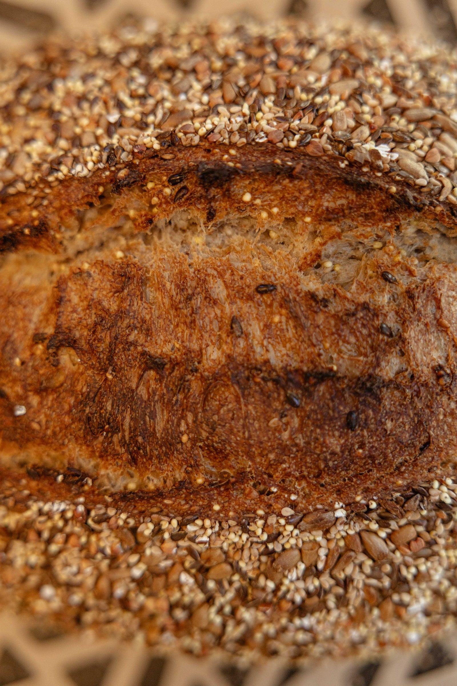 Zadenbrood van dichtbij