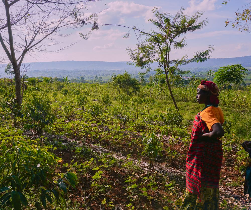 IMPACT: wat zit er écht achter koffie met verantwoordelijkheid