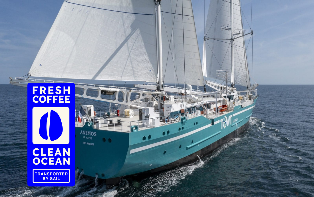 Specialty Coffee per zeilschip over de Oceaan. WAY kiest voor koffie die met de wind reist