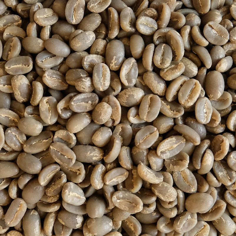 COSTA RICA West Valley Regional Selection FIL.