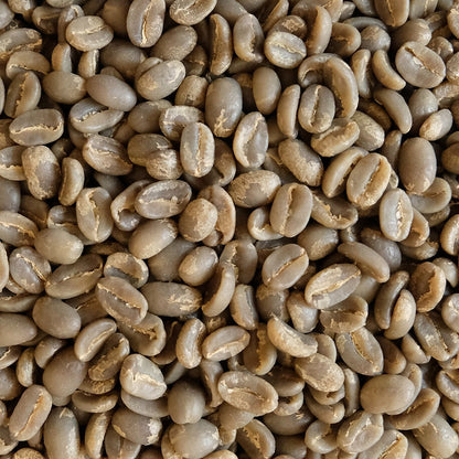 COSTA RICA West Valley Regional Selection FIL.