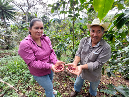 Producenten van COMSA met rijpe koffiekersen, Marcala, Honduras