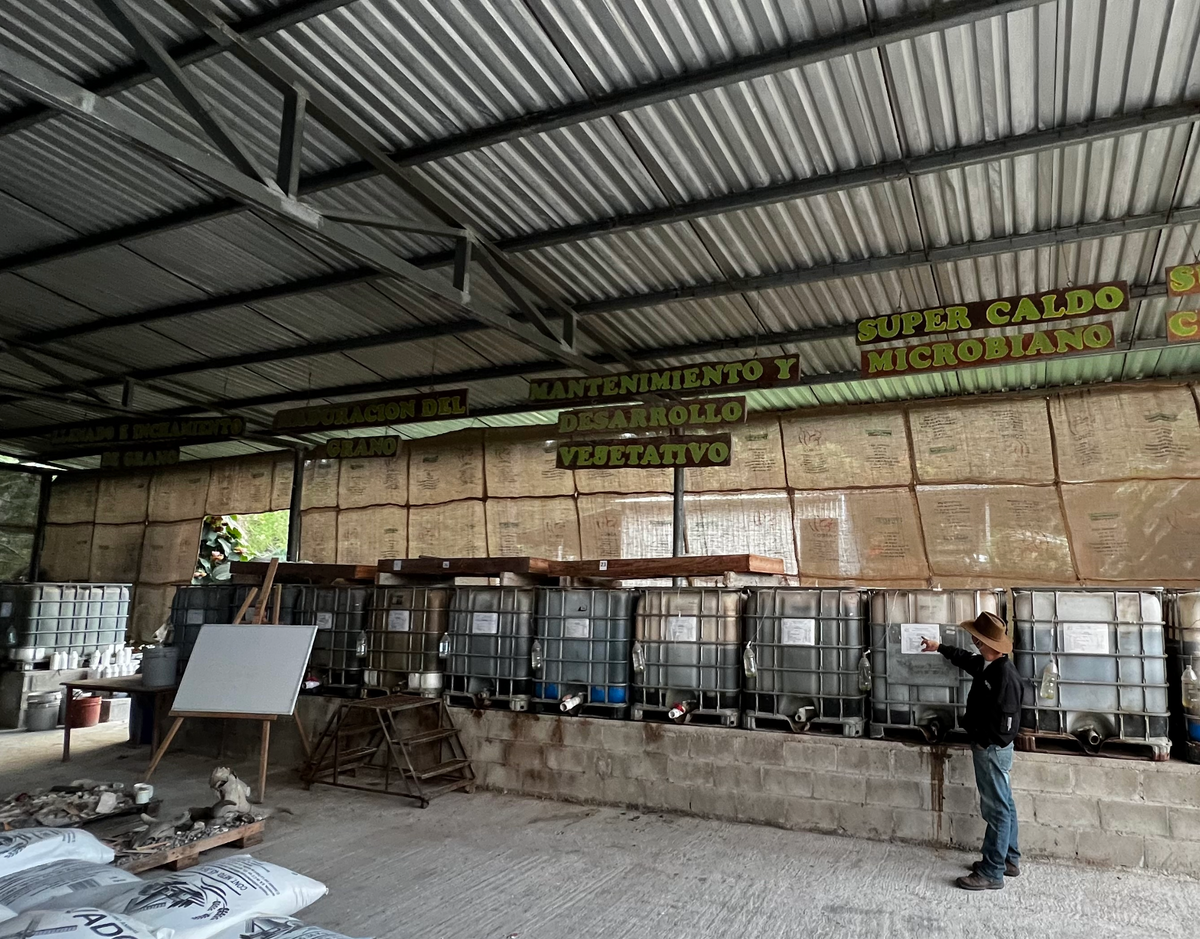 HONDURAS Ceiba FIL - WAY Coffee Roasters
