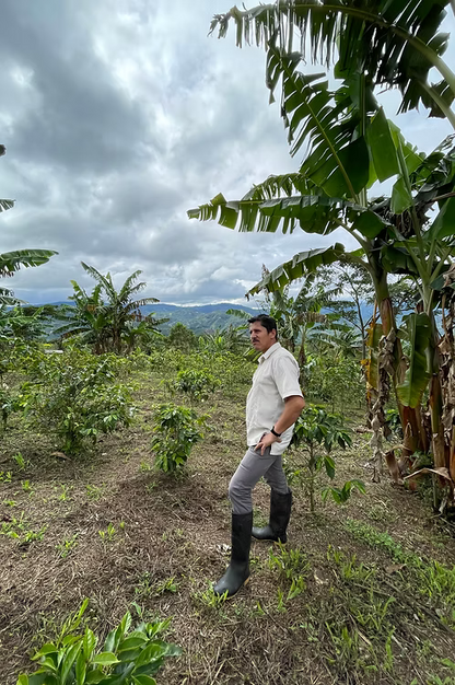 COLOMBIA Pink Bourbon Betulia FIL - WAY Coffee Roasters