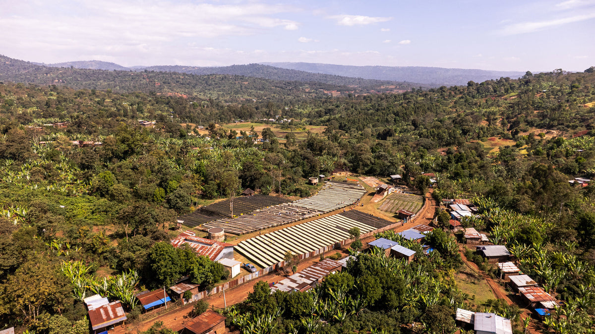 ETHIOPIA Halo Beriti FIL