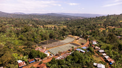ETHIOPIA Halo Beriti FIL