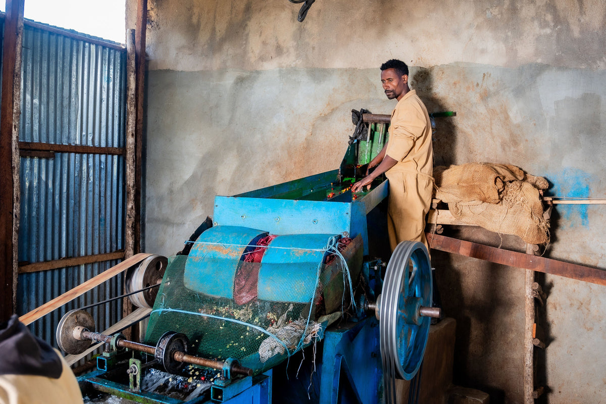 ETHIOPIA Halo Beriti FIL