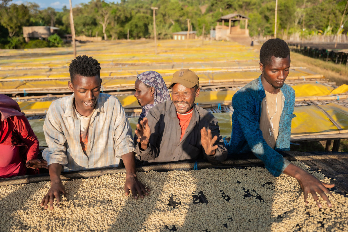 ETHIOPIA Halo Beriti FIL