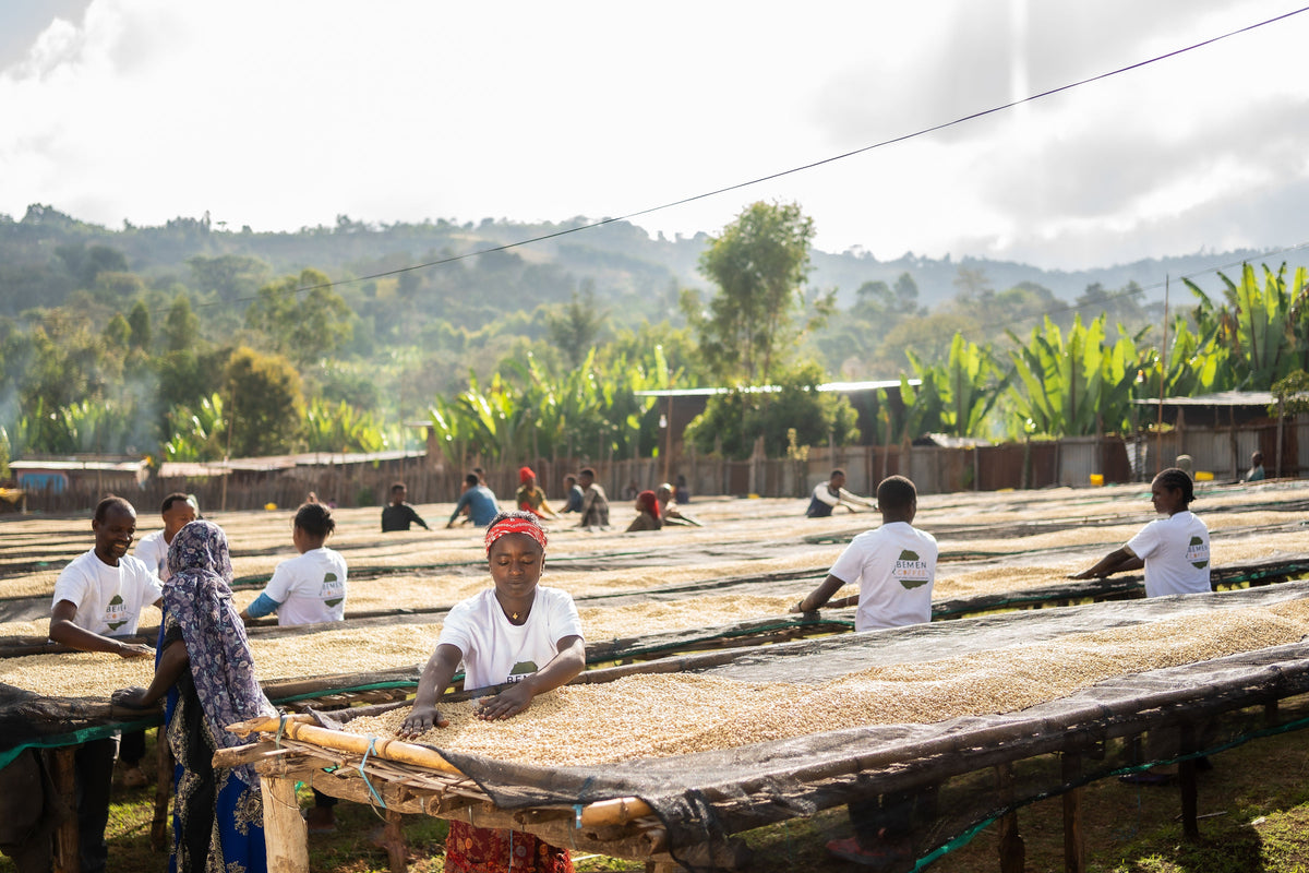 ETHIOPIA Halo Beriti FIL