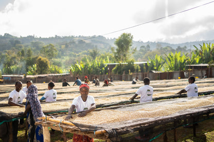 ETHIOPIA Halo Beriti FIL