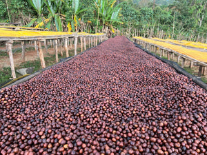 ETHIOPIA Garse ESP