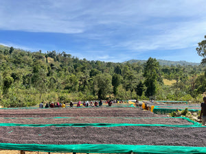 ETHIOPIA Garse ESP
