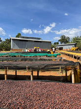 Afbeelding in Gallery-weergave laden, ETHIOPIA Garse ESP