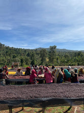 Afbeelding in Gallery-weergave laden, ETHIOPIA Garse ESP