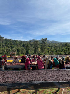 ETHIOPIA Garse ESP