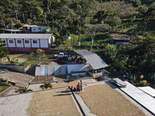 Afbeelding in Gallery-weergave laden, MEXICO SIPRO FIL - WAY Coffee Roasters