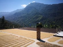 Afbeelding in Gallery-weergave laden, MEXICO SIPRO FIL - WAY Coffee Roasters