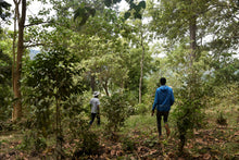Afbeelding in Gallery-weergave laden, ETHIOPIA Gogogu ESP