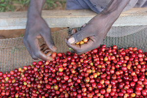 BURUNDI Masha FIL