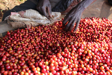 Afbeelding in Gallery-weergave laden, BURUNDI Masha FIL