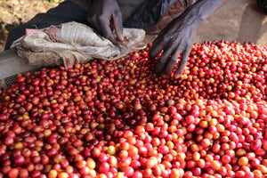 BURUNDI Masha FIL