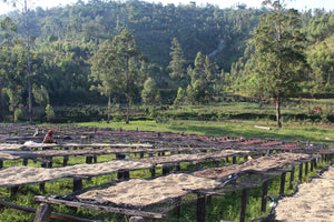 BURUNDI Masha FIL