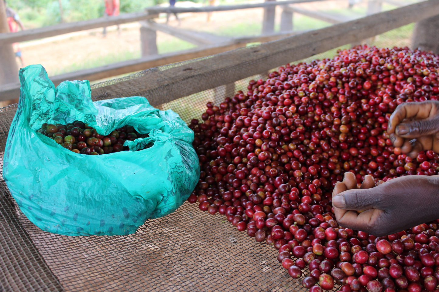 BURUNDI Nemba FIL