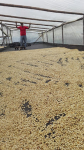 Colombia - Espresso - Le Champagne- Pink Bourbon Natural - Vanilla, maple, mango, blueberry, cherry, red apple, pineapple and strawberry