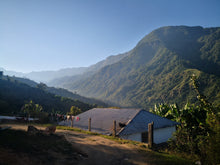 Afbeelding in Gallery-weergave laden, MEXICO SIPRO FIL - WAY Coffee Roasters