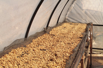 INDONESIA Sadayana FIL - WAY Coffee Roasters