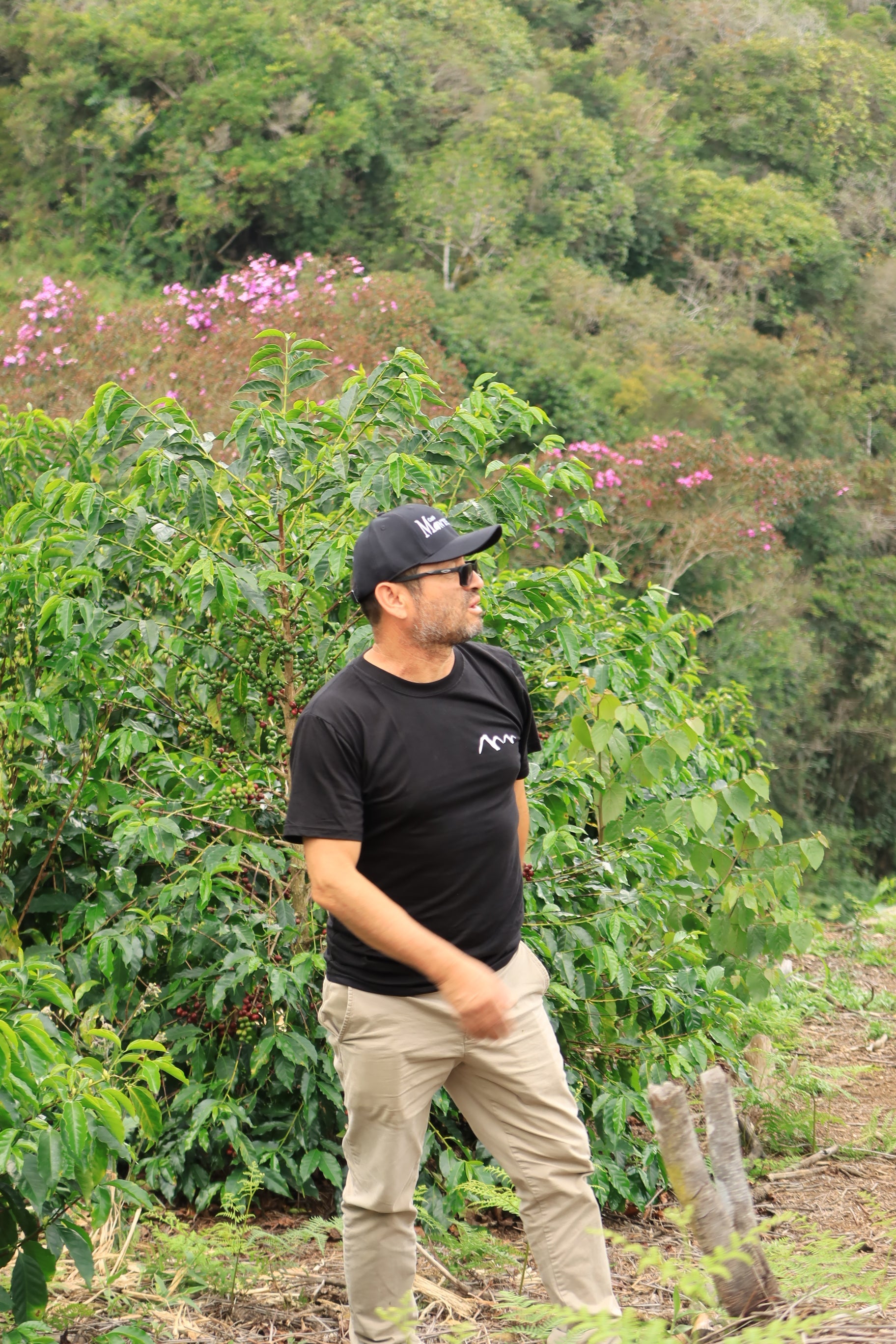 PERU Timbuyacu Red Bourbon FIL - WAY Coffee Roasters