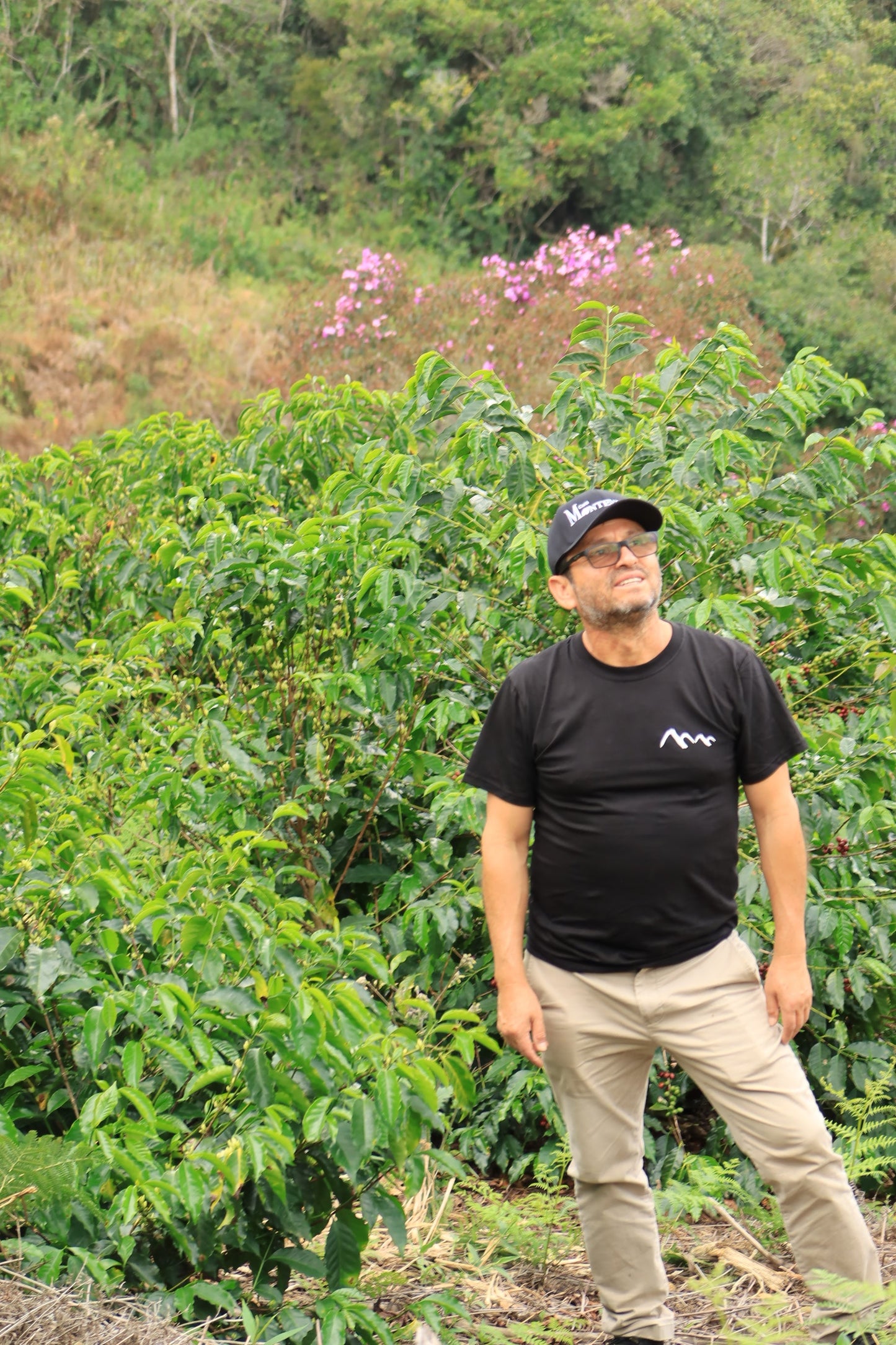 PERU Timbuyacu Red Bourbon FIL - WAY Coffee Roasters