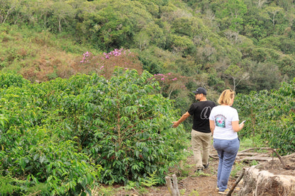 PERU Timbuyacu Red Bourbon FIL - WAY Coffee Roasters