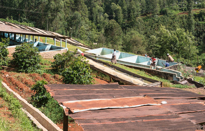 KENYA Kiamabara Nyeri PB FIL