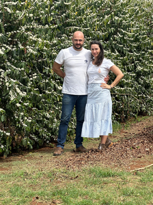 BRAZIL Fazenda Lagoinha ESP