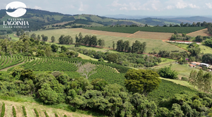 BRAZIL Fazenda Lagoinha ESP