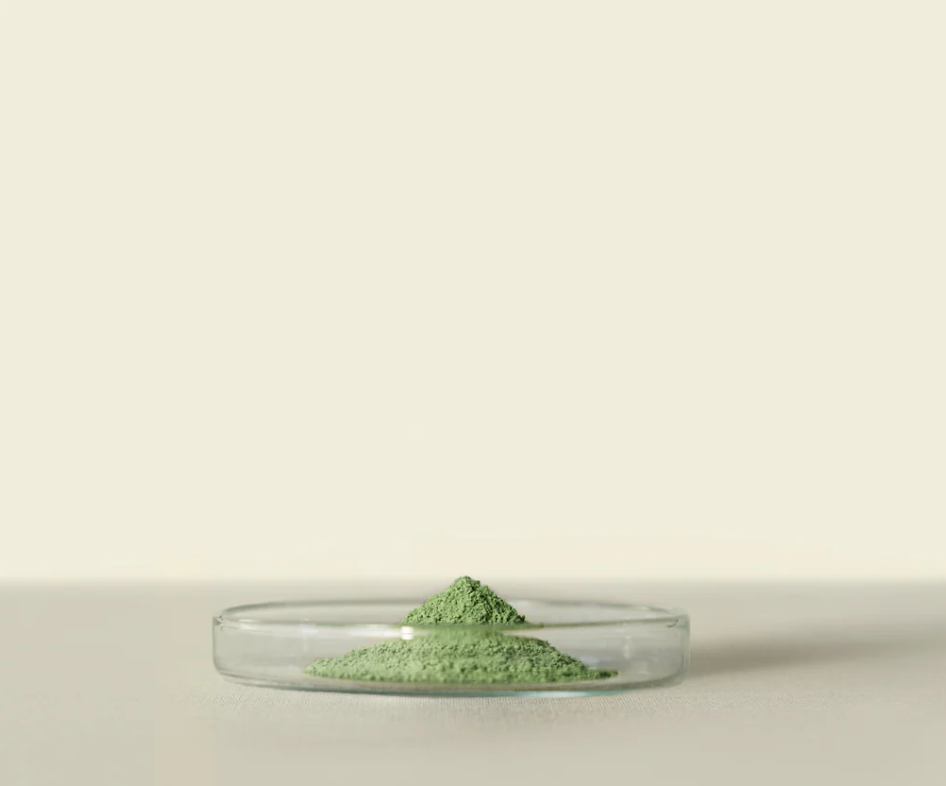 Mirai™ Culinary Matcha 1kg