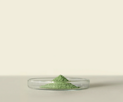 Mirai™ Culinary Matcha 1kg