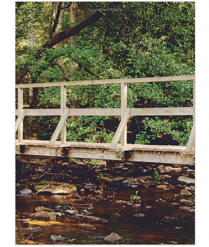 Kinfolk - Wilderness