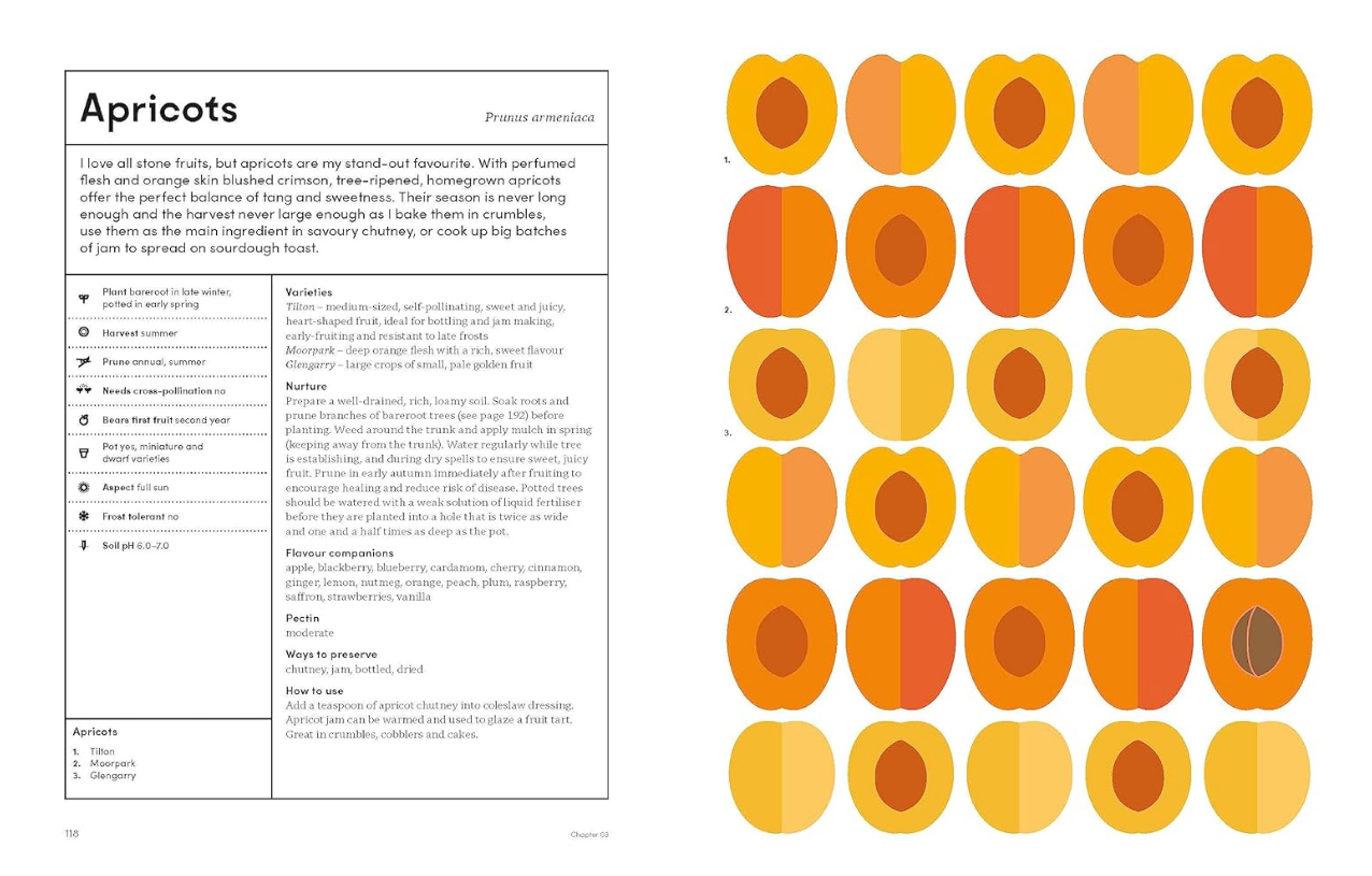 The Preserving Garden
