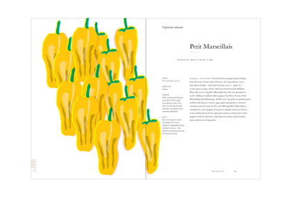 An Anarchy of Chillies