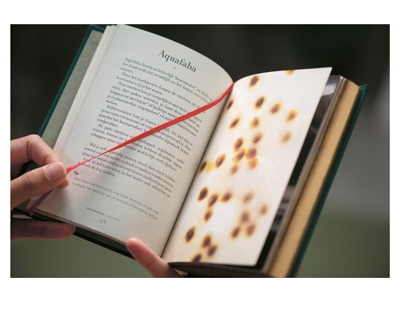 De Basis - Plantaardig