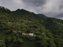 Afbeelding in Gallery-weergave laden, MEXICO SIPRO FIL - WAY Coffee Roasters