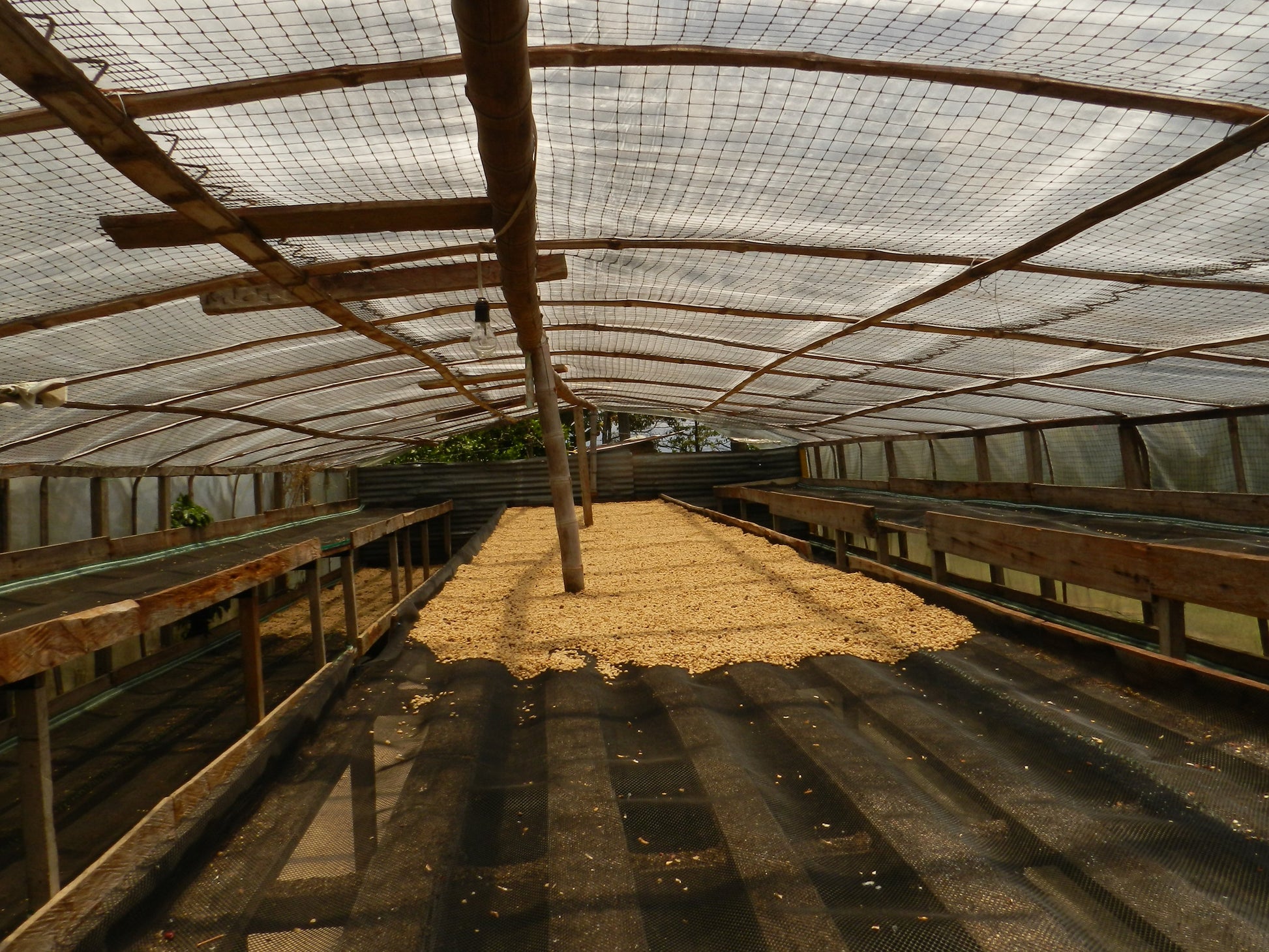 COLOMBIA  Tumbaga ESP Decaf - WAY Coffee Roasters