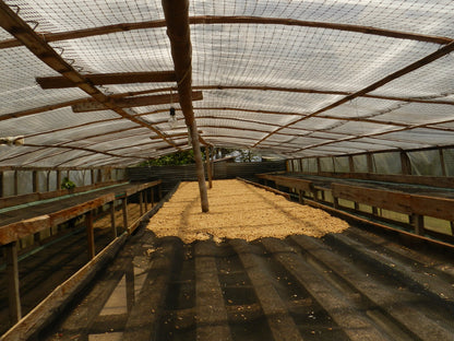 COLOMBIA  Tumbaga ESP Decaf - WAY Coffee Roasters