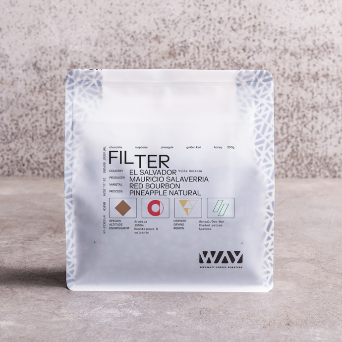 EL SALVADOR - Filter - Villa Galicia - Pineapple Natural
