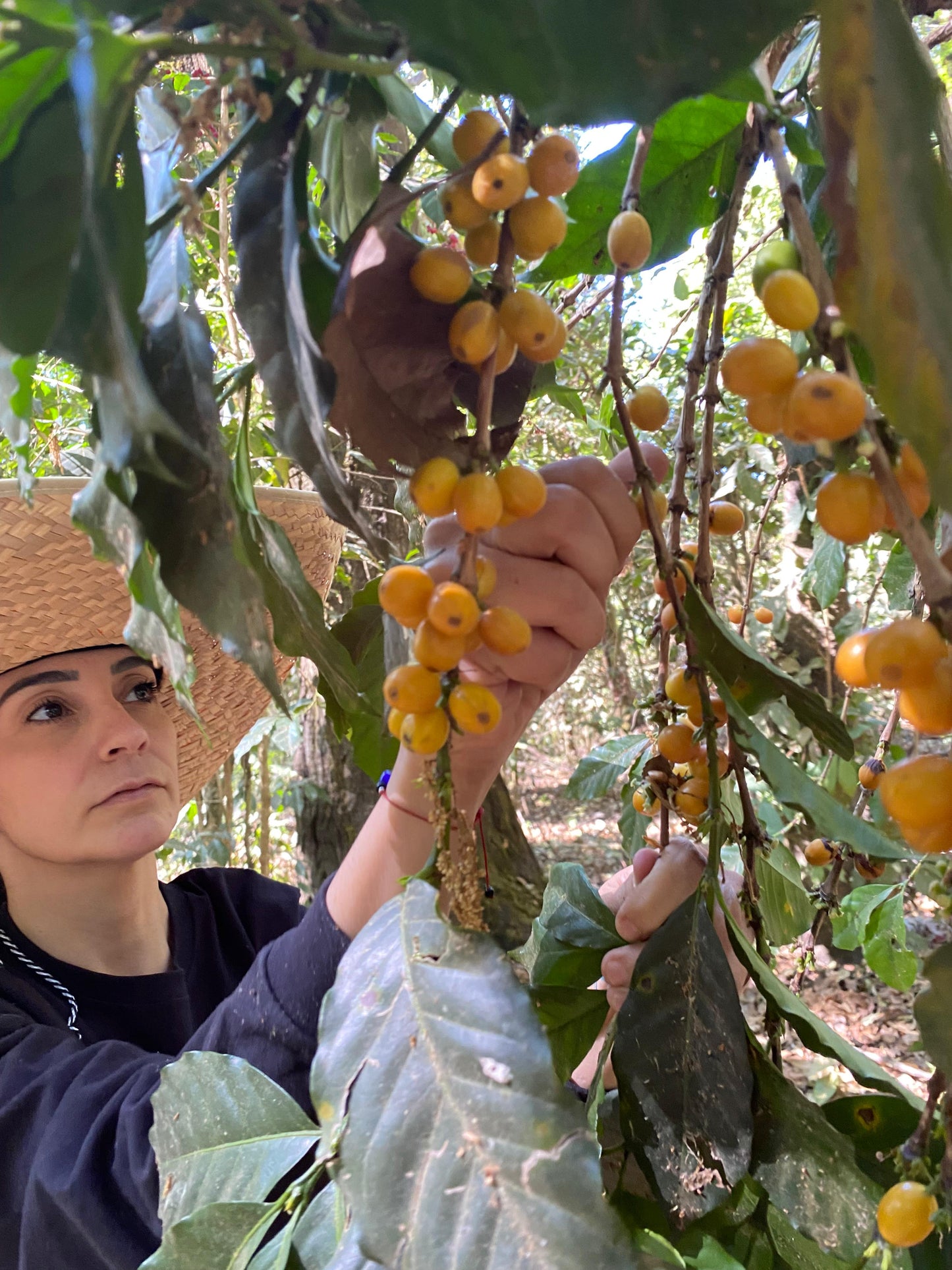 Eindejaarsspecial MEXICO Mar Mena Salazar FIL