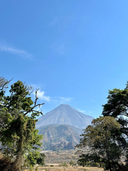 Eindejaarsspecial MEXICO Mar Mena Salazar FIL
